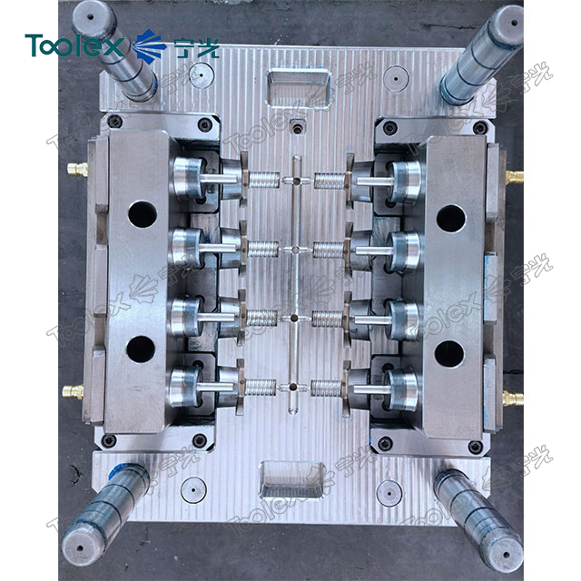 Plastic Injection Mold for Nut